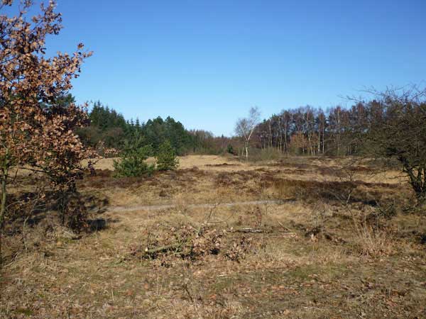 Birkenhof